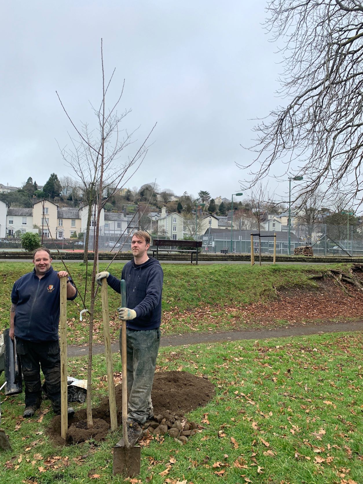 Community Delighted at Partners’ Tree Planting Works Tavistock Town Council
